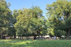 signal-2025-08-07-190150_002