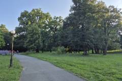 signal-2025-08-07-190150_004