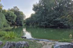 signal-2025-08-07-190150_019