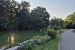 signal-2025-08-07-190150_020